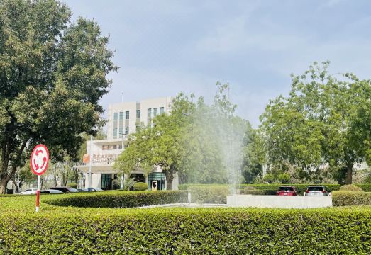 Soluxe HotelHotel Overview