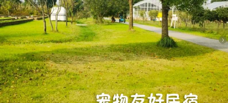 北戴河如你所院民宿图片
