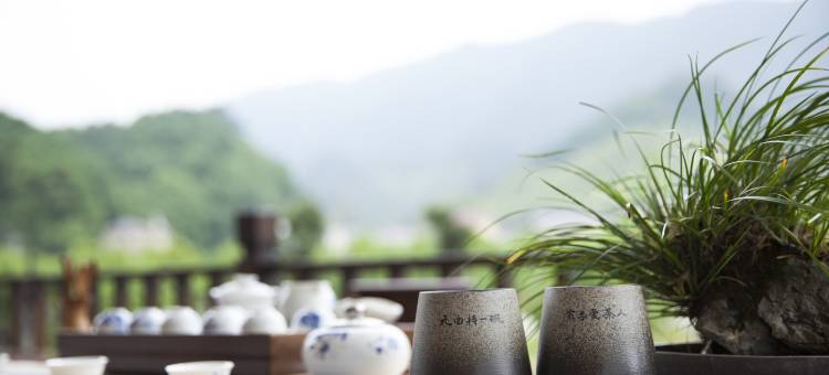 开化茗博园茶庄园(钱江源茗博园店)图片