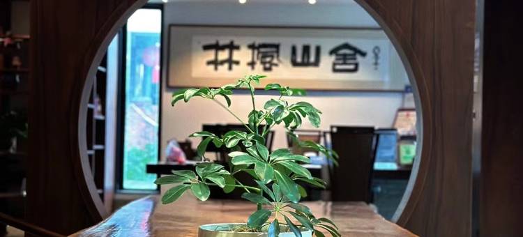 雁荡山林枫山舍民宿图片