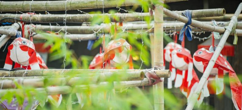 遵义乌江寨糖帮客栈图片