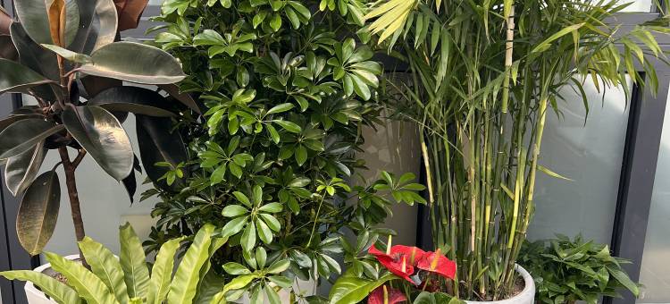 拉萨时光悠哉客栈图片