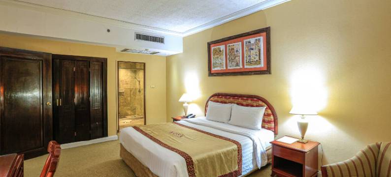 科萨酒店-健康中心(Kosa Hotel & Wellness Center)图片