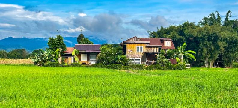 Deetorjai 农场住宿南(Deetorjai Farmstay Nan)图片