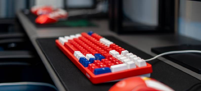 瑞庭电竞酒店(武义百合路店)图片