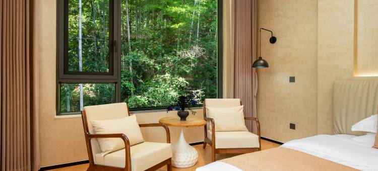 山月•枕星河 | Mountain•Moon•Galaxy设计师民宿(天堂寨景区店)图片