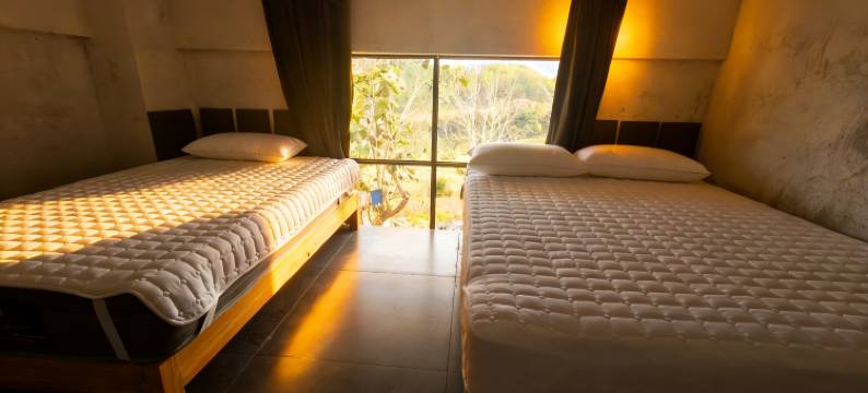 普洱半坡大叔国际青年旅舍图片