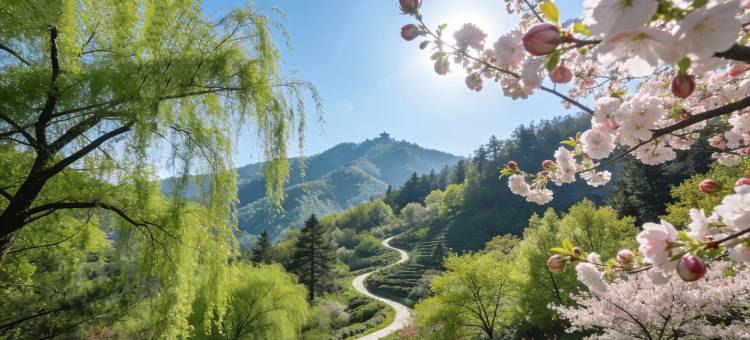 宣城墨寻山水酒店(国购广场高铁站店)图片