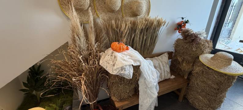 漠野・MOYE・星河入梦・Starry Dream极境美宿(北极村最北邮局店)图片