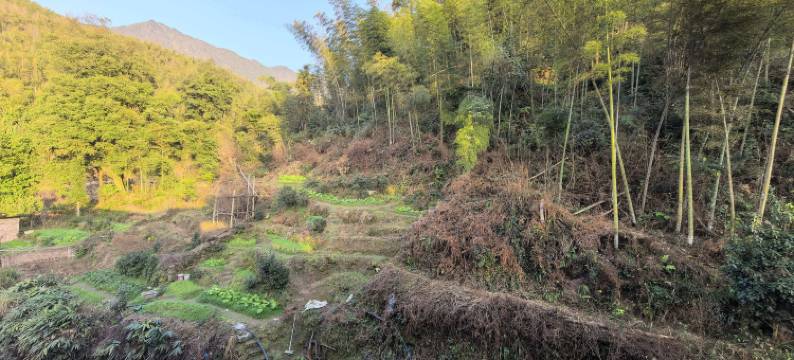 武功山二字头山庄图片