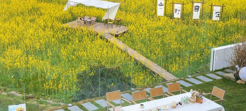 婺源·云上青野·Villa设计师美宿图片