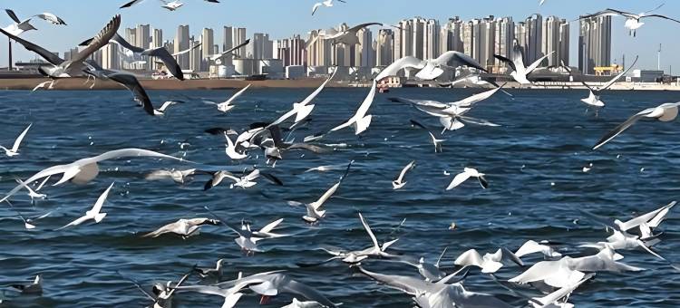 逸轩精选公寓(天津滨海站宝龙广场店)图片
