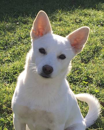 花筑·海巢美墅(龙海镇海角店)图片