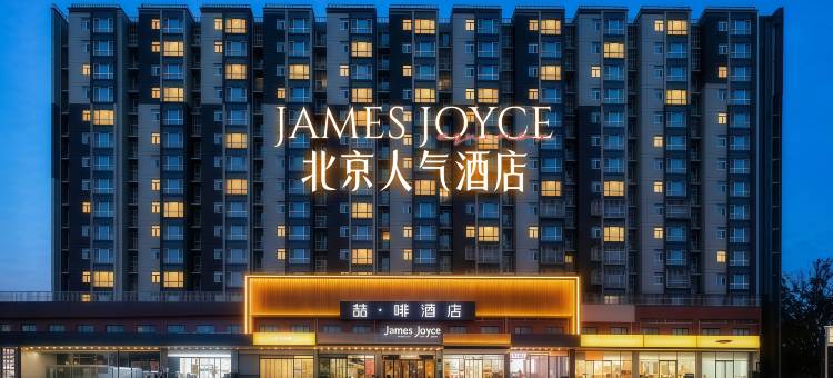 JAMES JOYCE COFFETEL 喆啡酒店(北京南站新宫地铁站店)图片