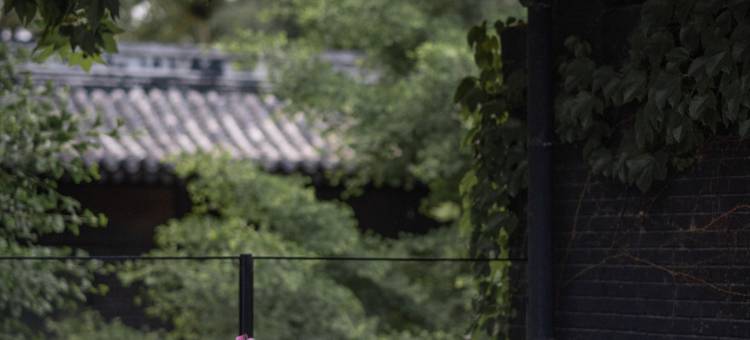 北京恭王府花间堂·后海图片