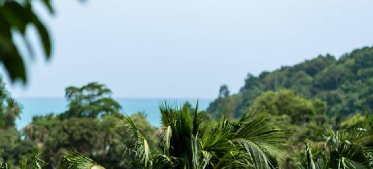 普吉岛巴东阿维斯塔美憬阁酒店(Avista Hideaway Phuket Patong - MGallery)图片