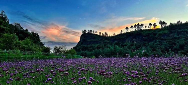 内江船石湖豪生温泉酒店图片
