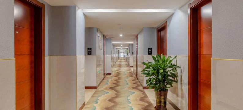 合肥海登国际酒店(长江批发市场龙岗地铁站店)图片