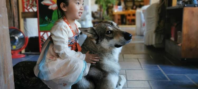丽江束河花间堂·墨香院图片