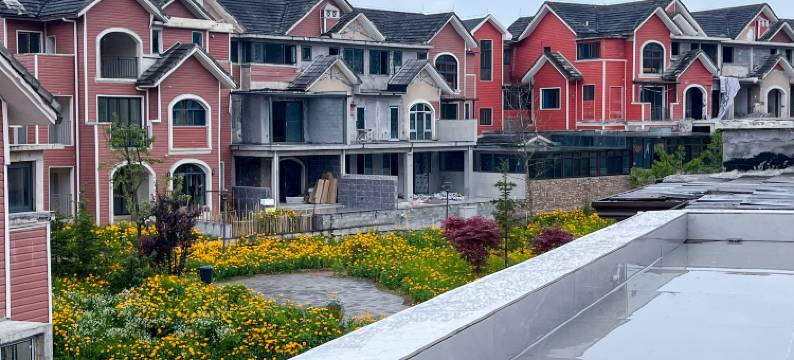 湖畔花园美墅(南天湖景区店)图片