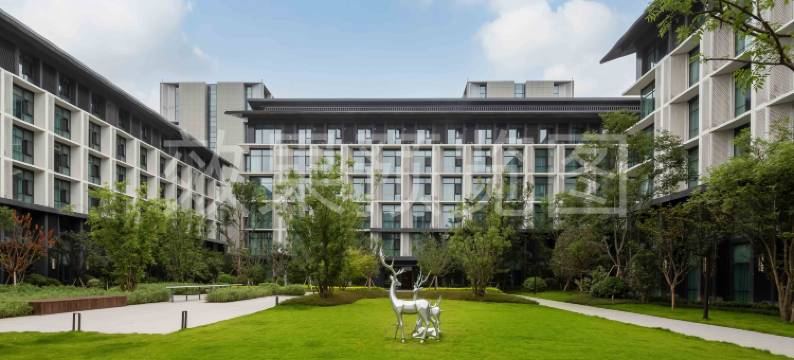 天府国际大酒店商务楼图片