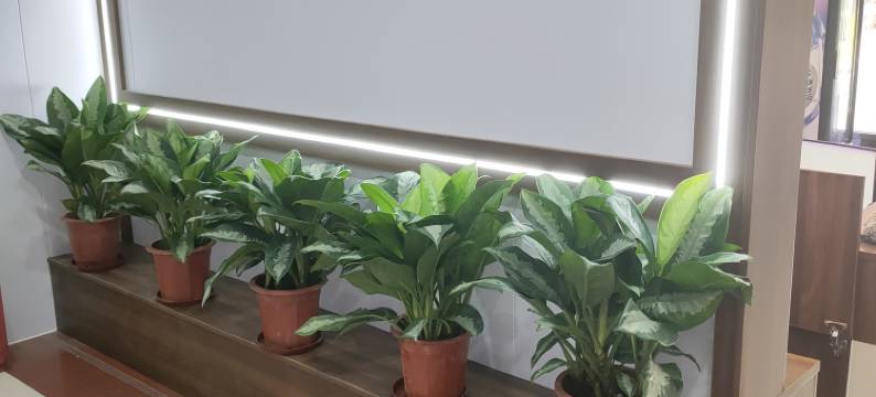 域强商务宾馆(茂名高铁站店)图片