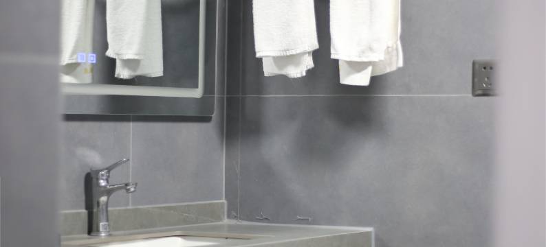 成都文家新城酒店图片