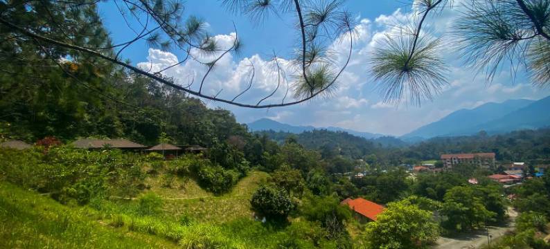 切伦金山会议及水疗度假村(Cherengin Hills Convention & Spa Resort)图片