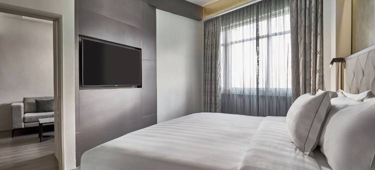 新加坡基奇纳诺富特酒店(Novotel Singapore on Kitchener)图片