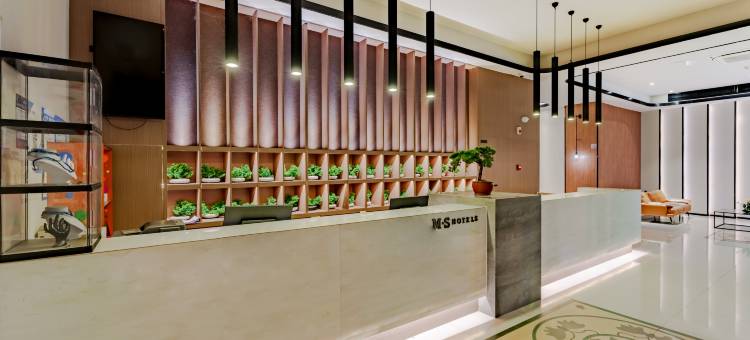 MEISU 美宿艺术酒店(无为市政府店)图片