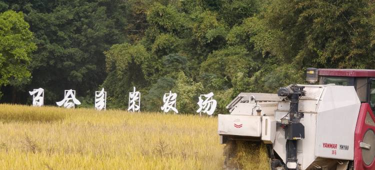 侨乡故事民宿图片