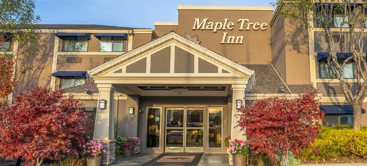 枫树酒店(Maple Tree Inn)图片