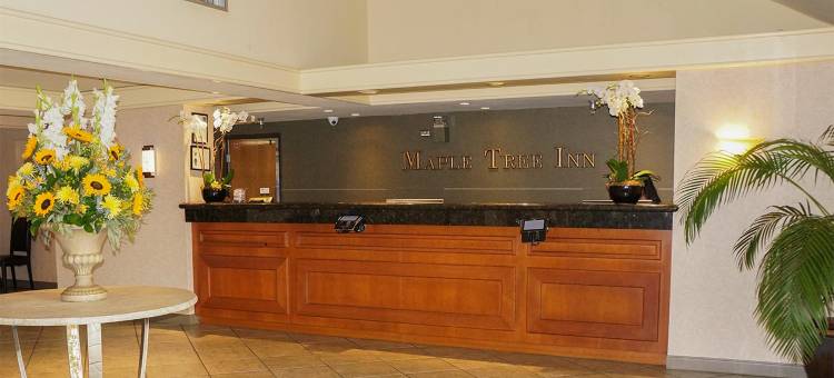 枫树酒店(Maple Tree Inn)图片