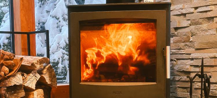 轻井泽森四季度假别墅酒店(Karuizawa Forest Seasons Villa)图片