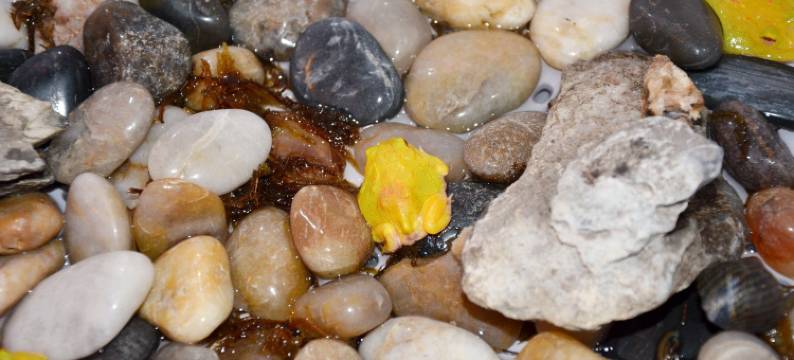 轻奢家园民宿(临沂海联国际广场店)图片