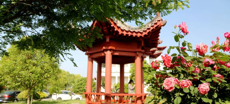 星昱酒店(洛阳宜阳洛水昌谷店)图片