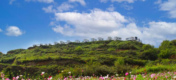 王岗坪脱壳龟生态营地图片