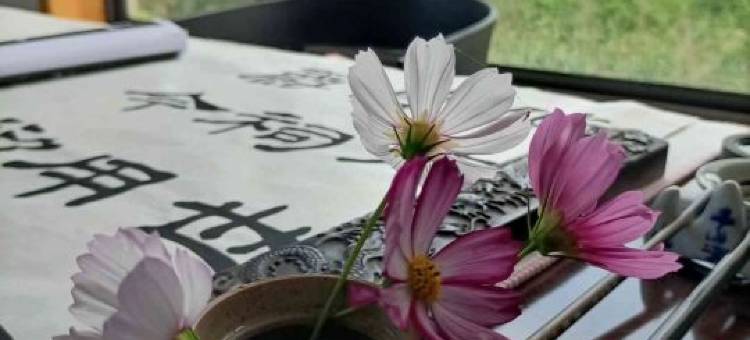 岳阳汀兰别院民宿图片