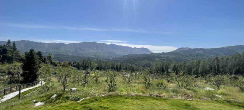 云漫拾光客栈图片