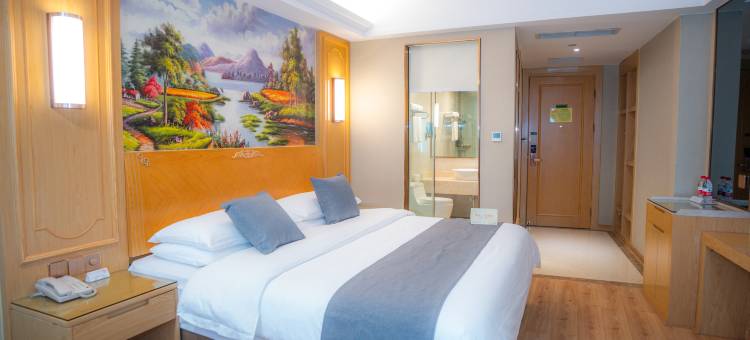 维也纳酒店(重庆解放碑洪崖洞店)图片