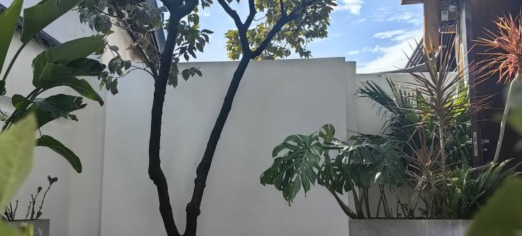 蜀道山民宿(丽江古城北门店)图片