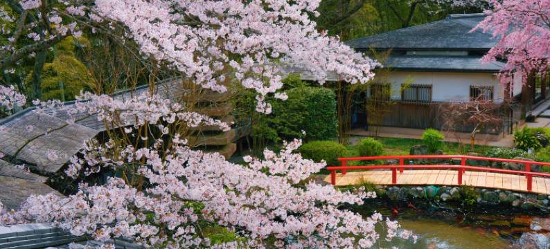 樱泉会馆(Oukai Villa Izumi)图片