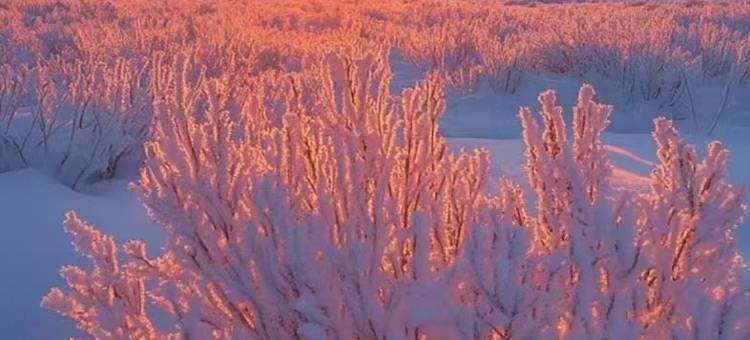 山居日记民宿(亚布力滑雪旅游度假区店)图片