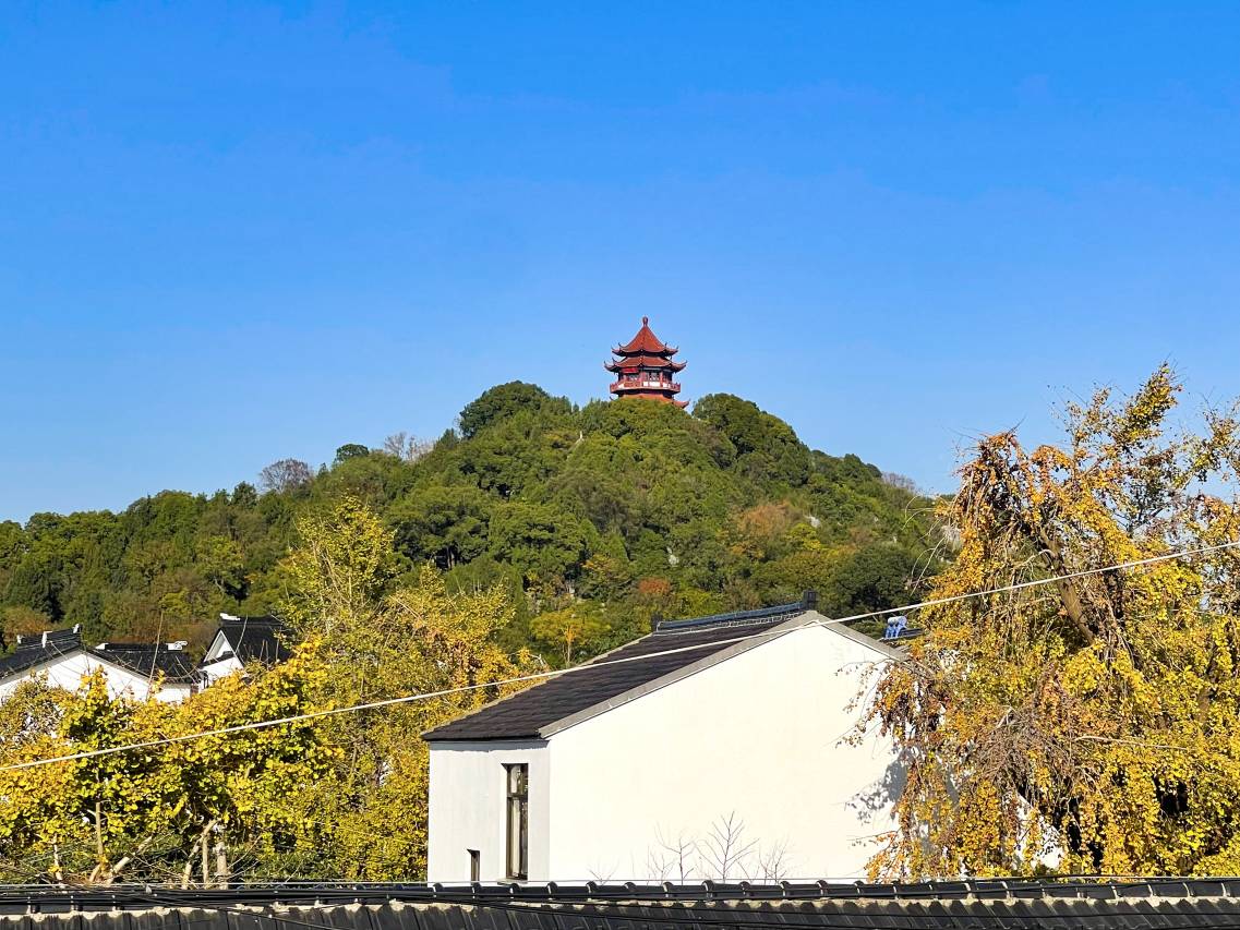 山茶日记民宿图片