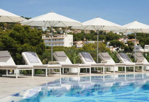 The Donna Portals Hotel Overview