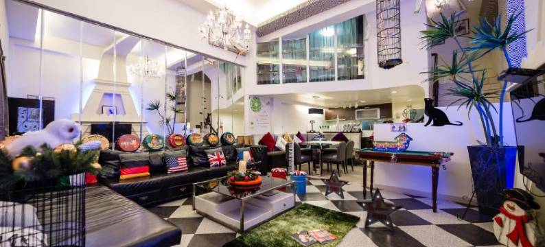 巴黎villa主題派對K歌 BBQ包棟图片