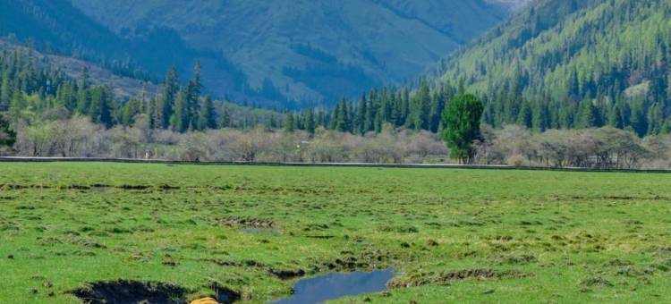 被梦叫醒酒店(双桥沟景区布达拉峰雪山公路打卡点店)图片