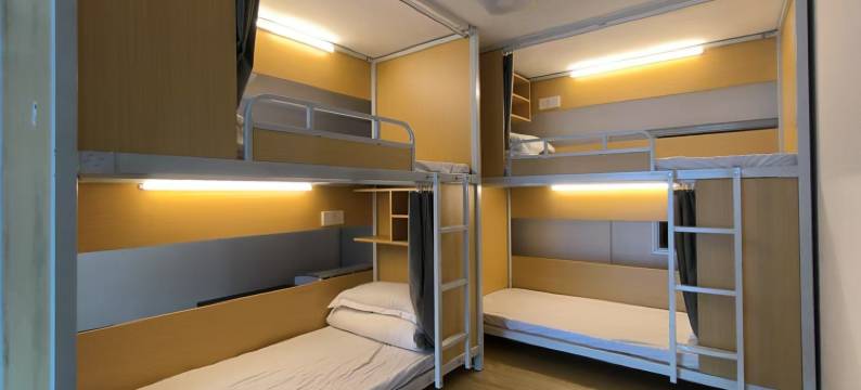 深圳北站橄榄树民宿图片