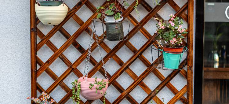 景德镇青雨轩民宿(人民广场陶阳里店)图片