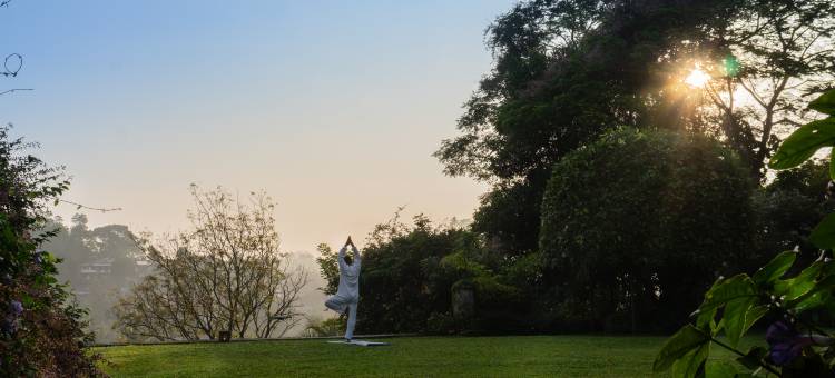 王亭酒店(Kings Pavilion Luxury Hotel)图片